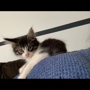 Meet your Posher, Shauna-mae